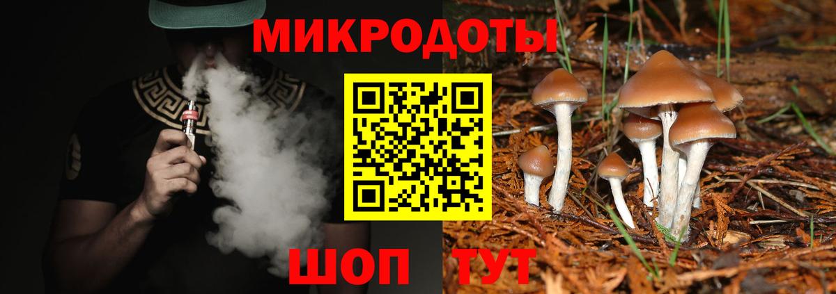 Галлюциногенные грибы Psilocybe  Вход с VPN  Урус-Мартан  Псилоцибиновые грибы ЛСД 