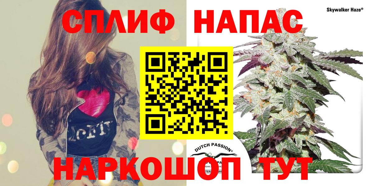 Канабис MAZAR Урус-Мартан